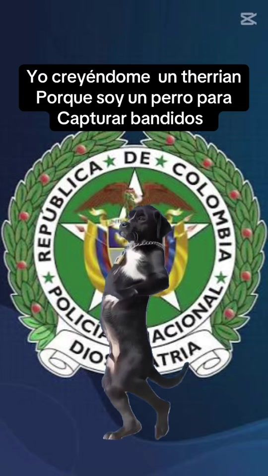 TikTok video thumbnail by juancamolina3