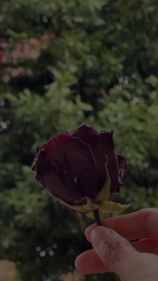 TikTok video thumbnail by mahi_asticx