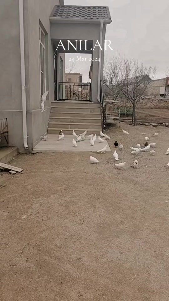 TikTok video thumbnail by zabit666_