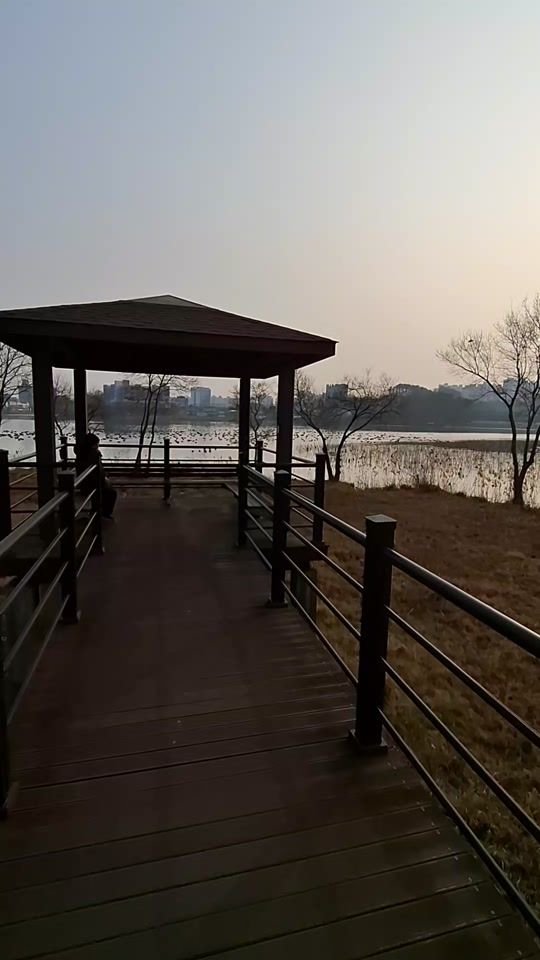 TikTok video thumbnail by n988651