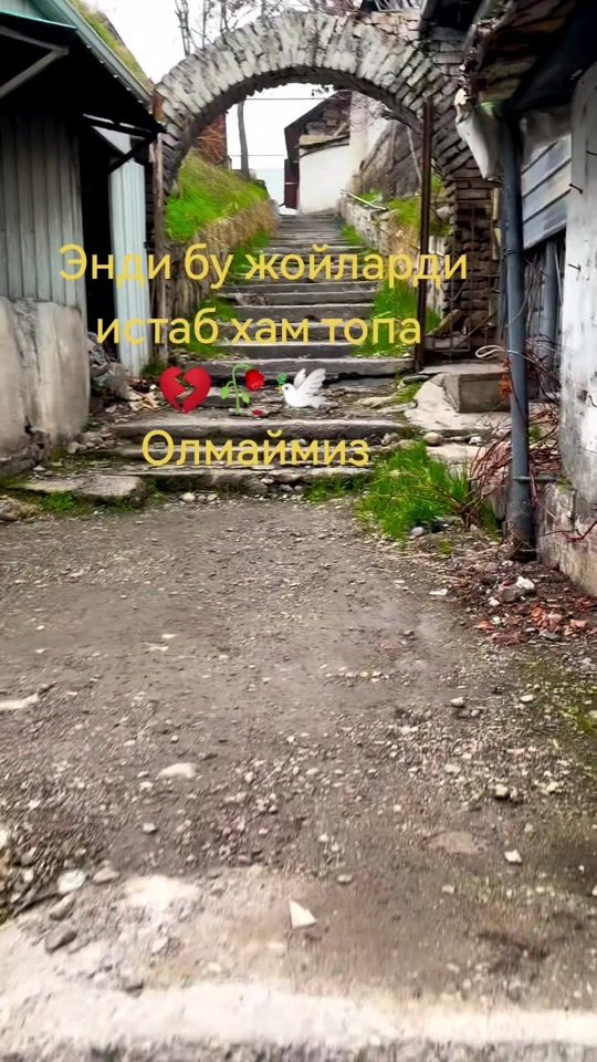 TikTok video thumbnail by ali_007uz