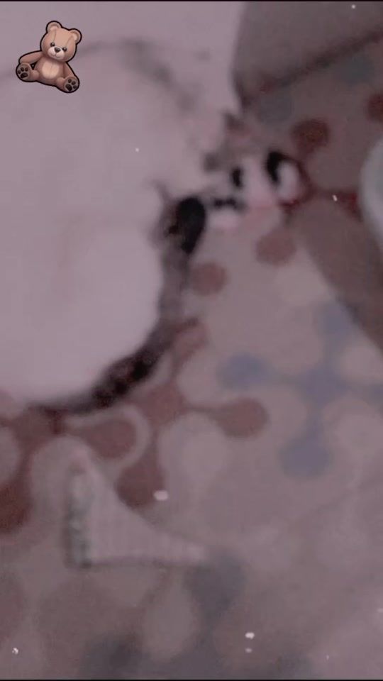 TikTok video thumbnail by m_.x808