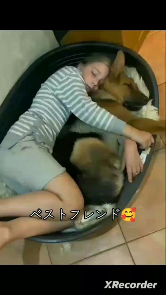 TikTok video thumbnail by bufu693