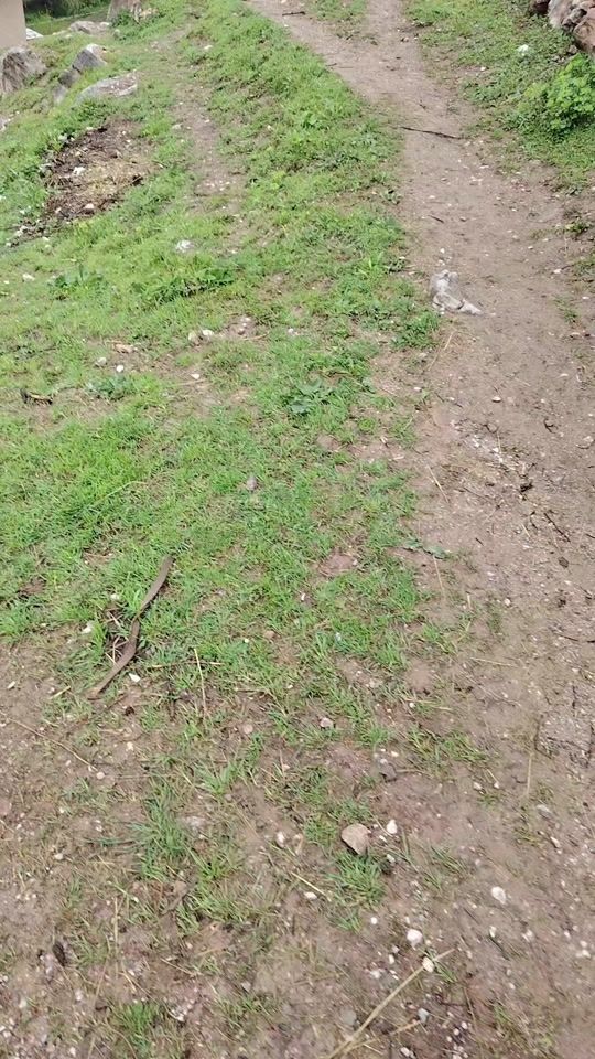 TikTok video thumbnail by ogabek_01_07.2002