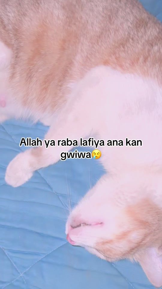 TikTok video thumbnail by fearswags
