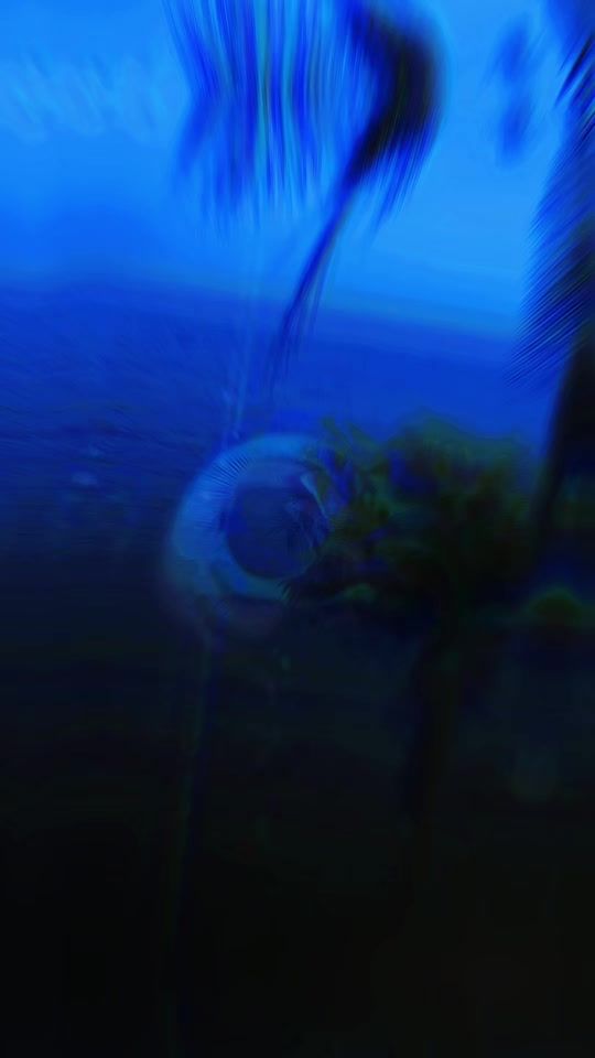 TikTok video thumbnail by wolfangdj