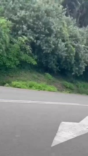 TikTok video thumbnail by jaredvictorpillay