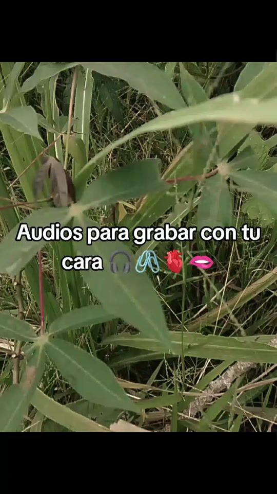 TikTok video thumbnail by nixon_s5