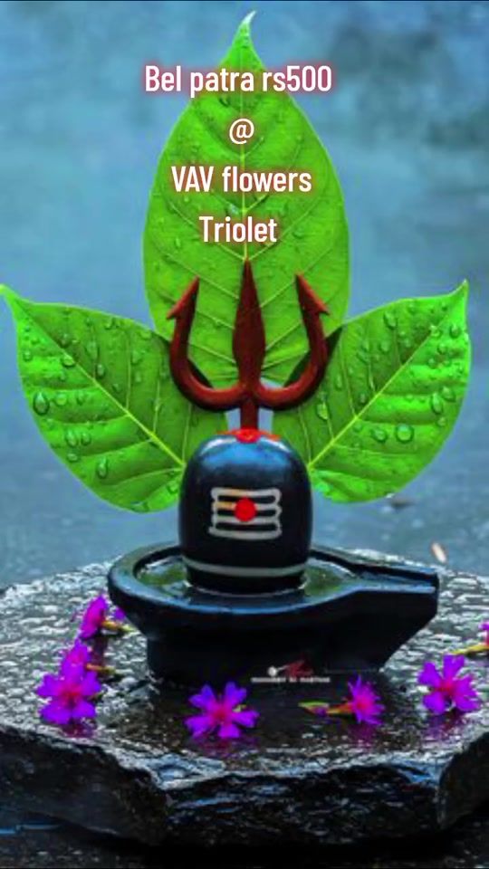 TikTok video thumbnail by avisha1262