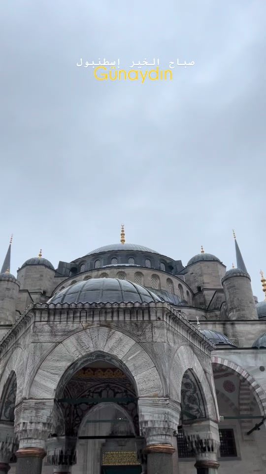 TikTok video thumbnail by abimoubooking