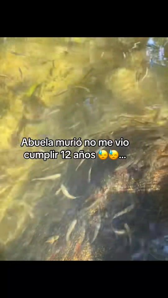 TikTok video thumbnail by aidacuxulic