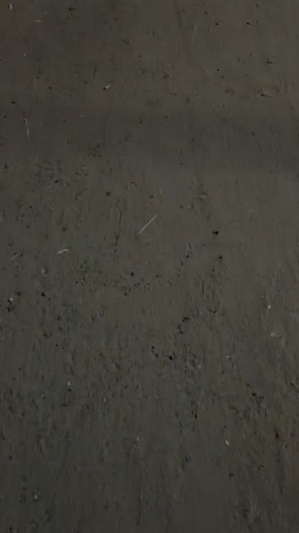 TikTok video thumbnail by xo_nemo_ox