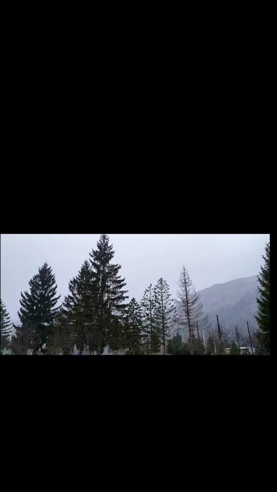 TikTok video thumbnail by escapingexploringwitheri