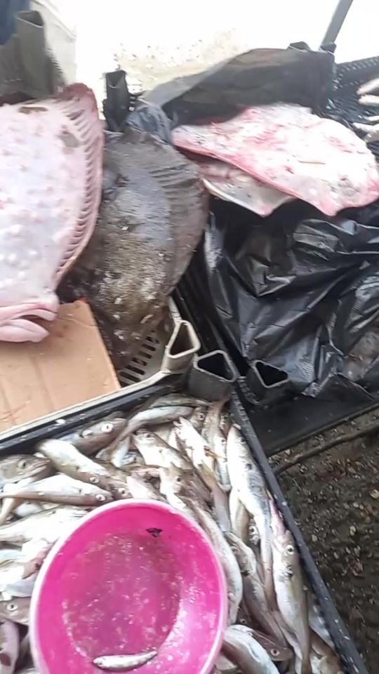 TikTok video thumbnail by likadorohina