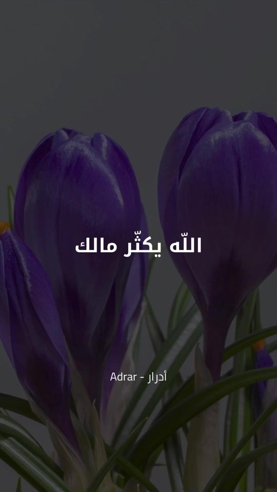 TikTok video thumbnail by adrar.tn