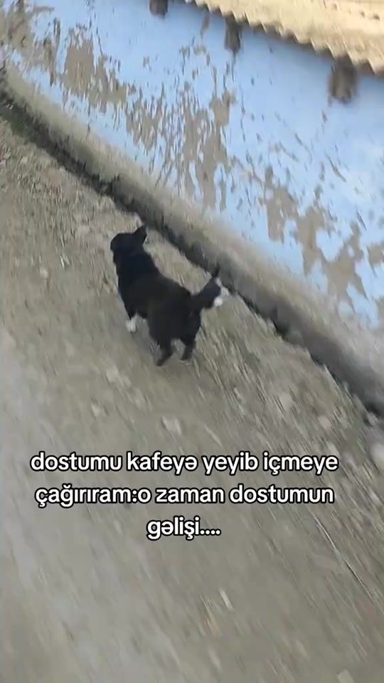 TikTok video thumbnail by _047_vuqar