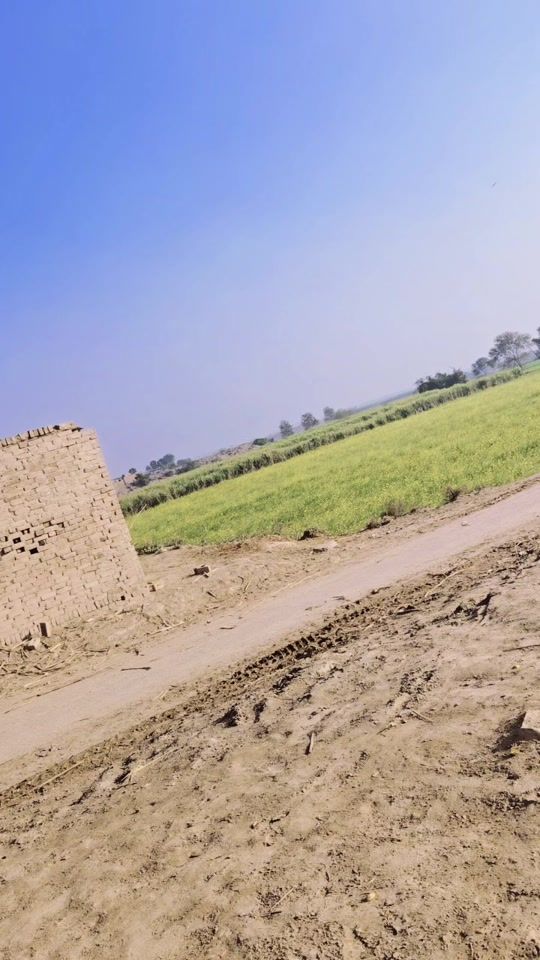 TikTok video thumbnail by sonia_jhang_