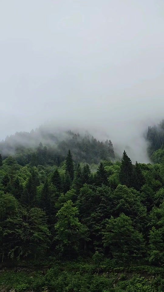 TikTok video thumbnail by birbandi