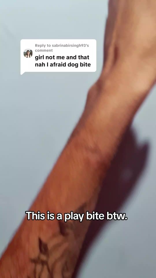 TikTok video thumbnail by padmaniesdesigns868