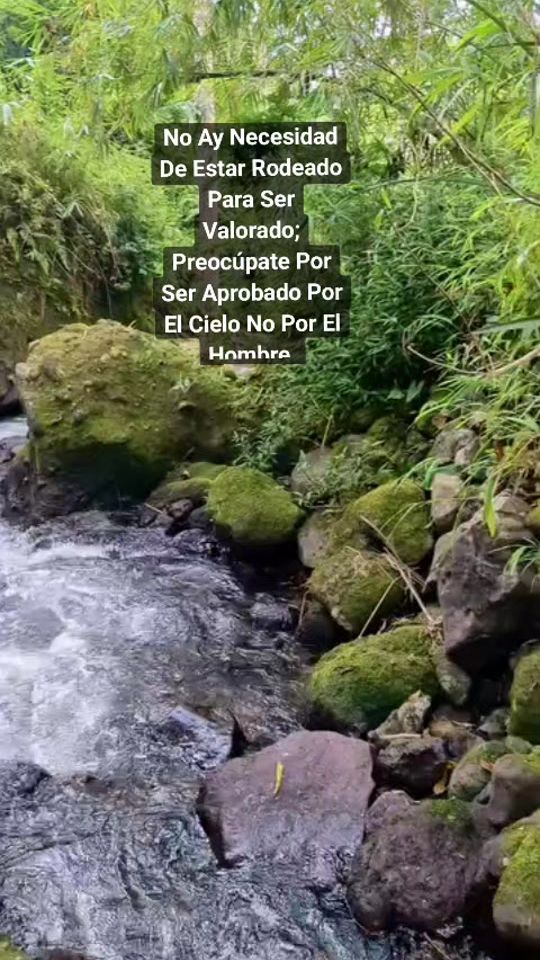 TikTok video thumbnail by rubennunez72