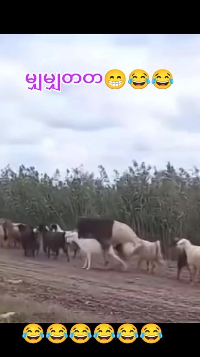 TikTok video thumbnail by m..t5259