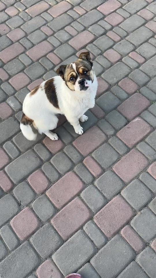 TikTok video thumbnail by galinabalan28