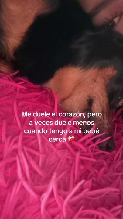 TikTok video thumbnail by sofial_cj