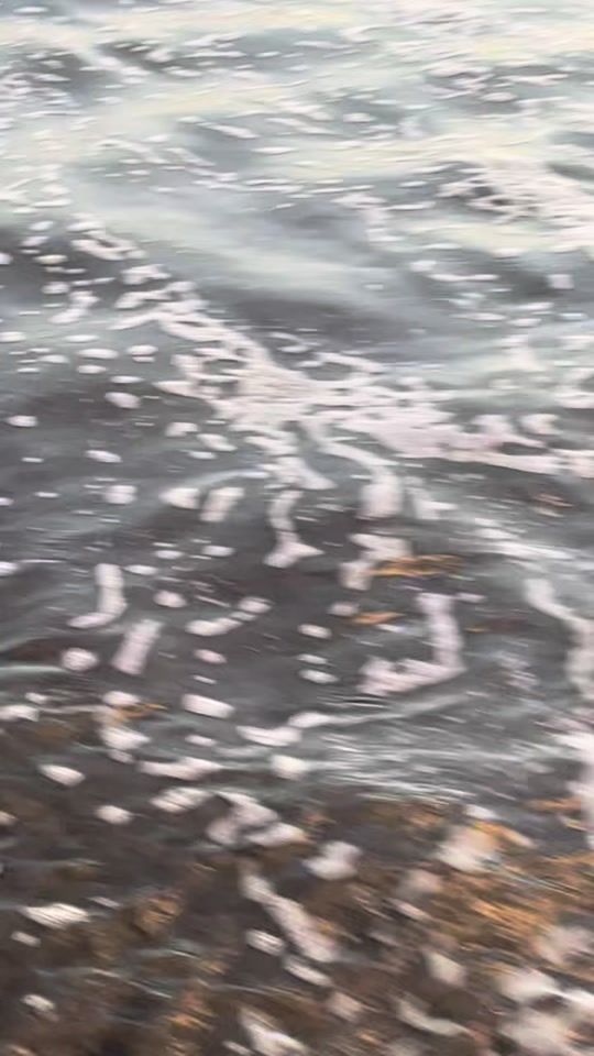 TikTok video thumbnail by coreas423