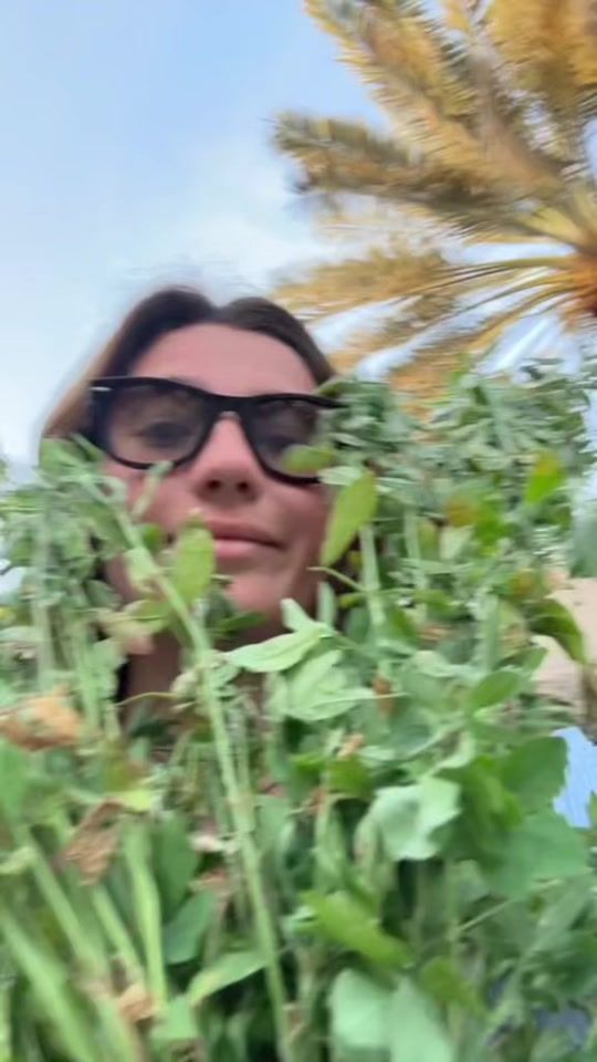 TikTok video thumbnail by tobitobka