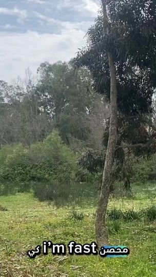 TikTok video thumbnail by khbebel