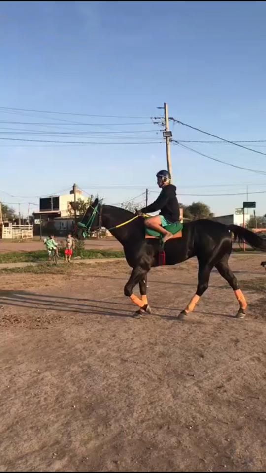 TikTok video thumbnail by juandylan14
