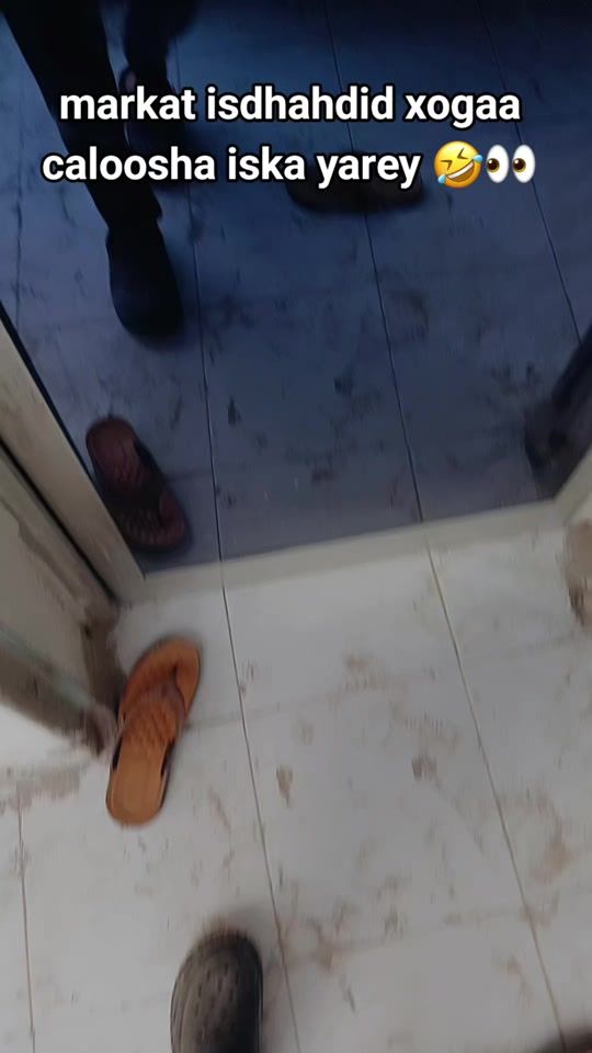 TikTok video thumbnail by bashka4497