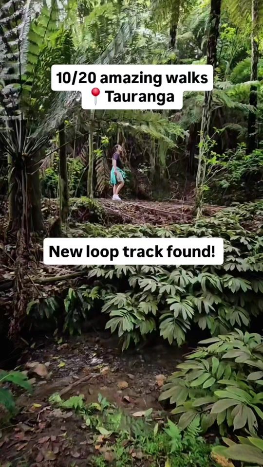 TikTok video thumbnail by nz_adventures