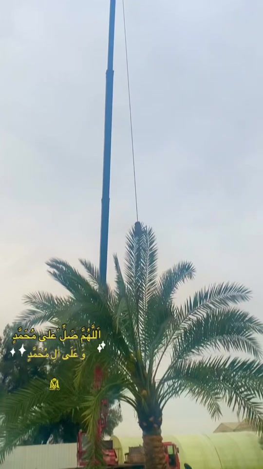 TikTok video thumbnail by asadullahdaulat