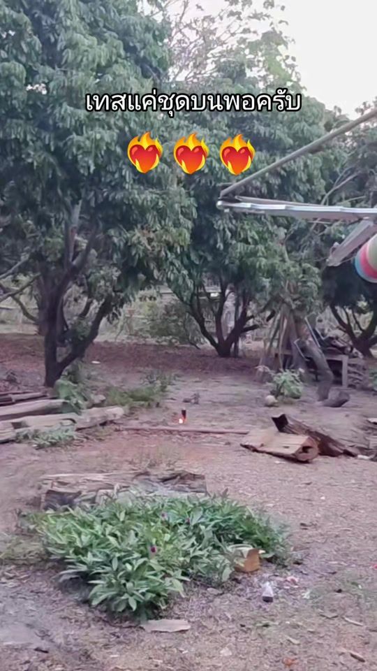 TikTok video thumbnail by jele_like