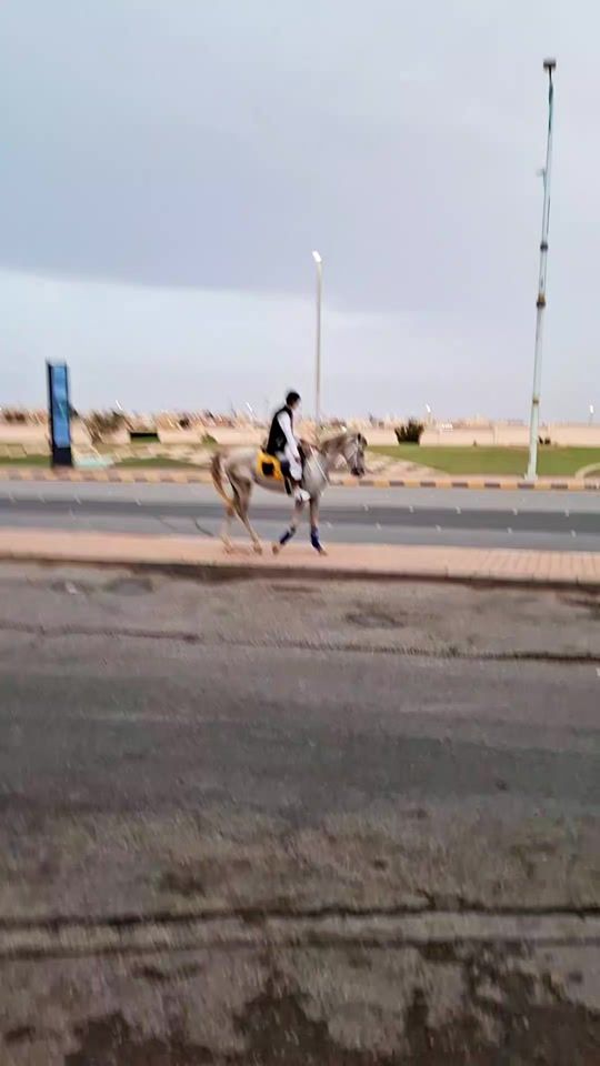 TikTok video thumbnail by aliaftab09
