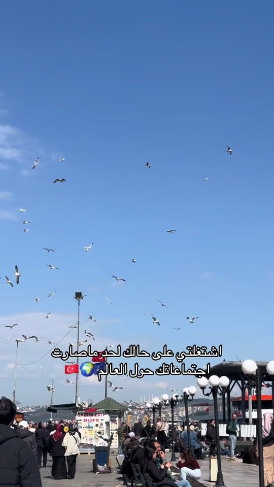 TikTok video thumbnail by sallyratrout7