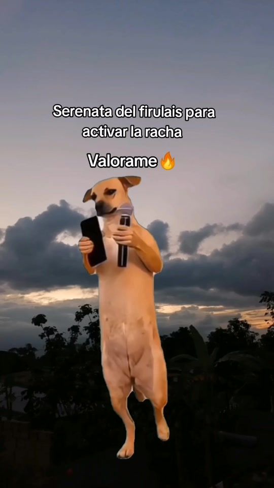 TikTok video thumbnail by milagros_12.20