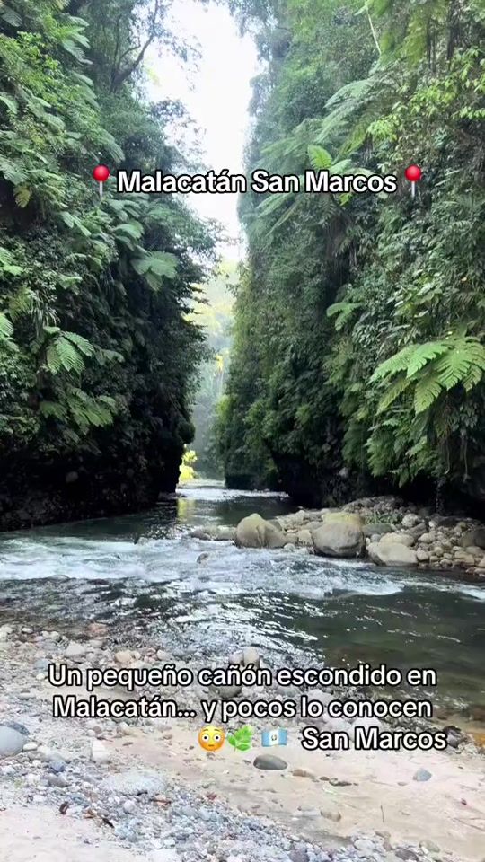 TikTok video thumbnail by vela_gt