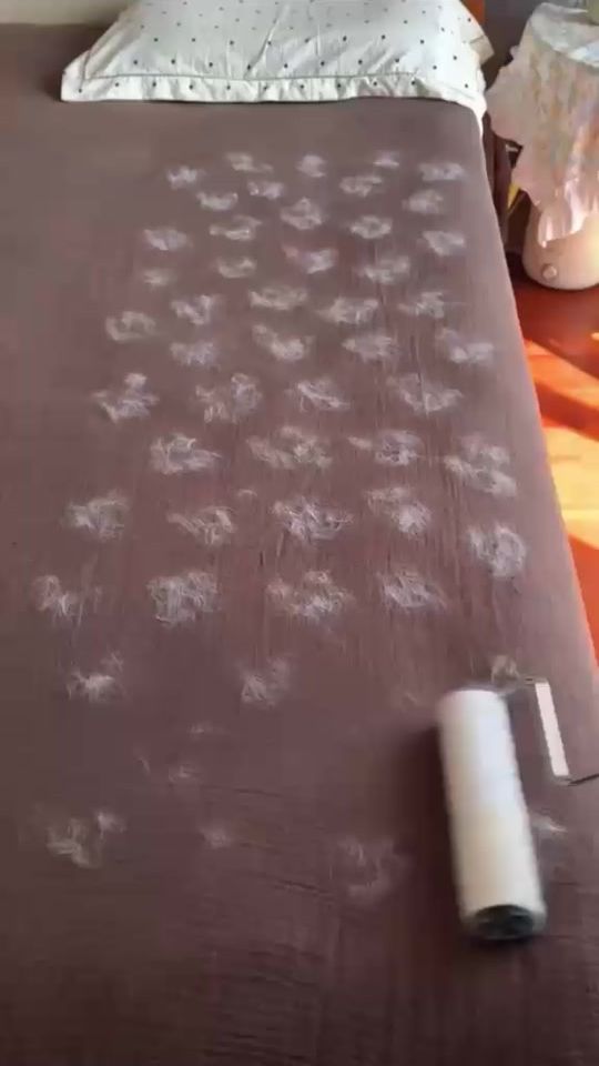 TikTok video thumbnail by animo360dz