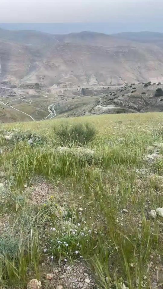 TikTok video thumbnail by abobader_