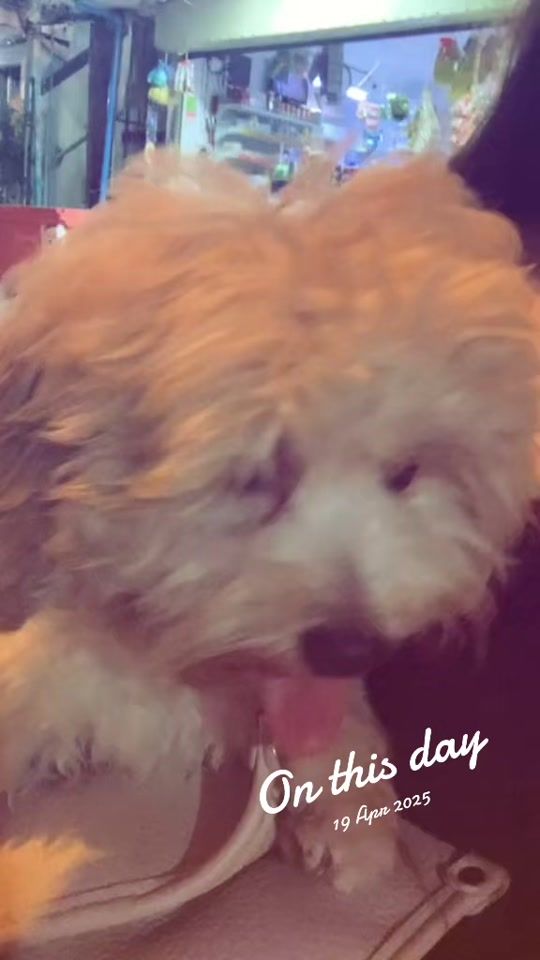 TikTok video thumbnail by l_p319