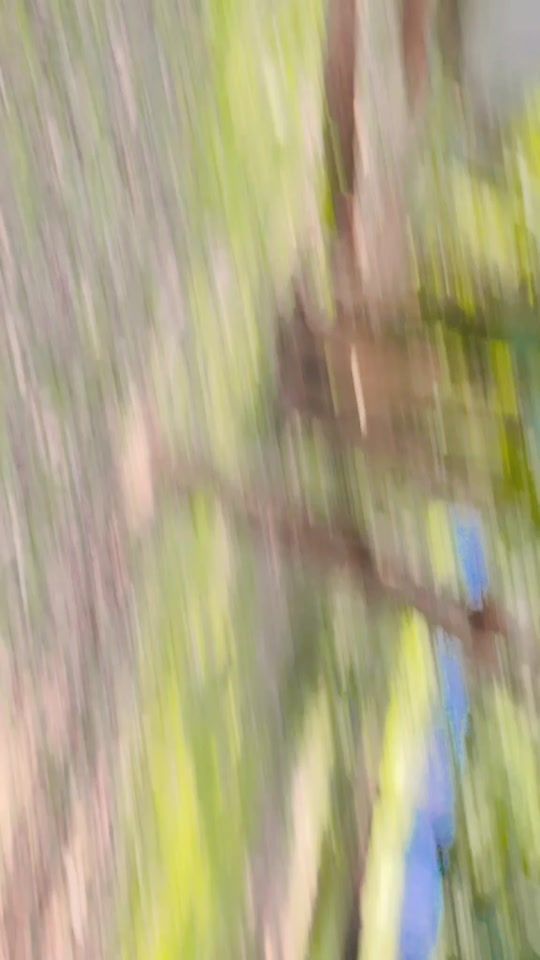 TikTok video thumbnail by sujon.121