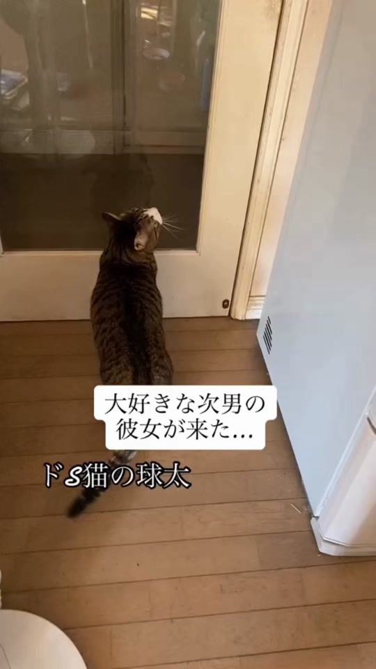 TikTok video thumbnail by kyuta3