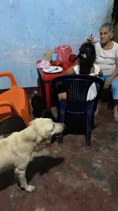 TikTok video thumbnail by tucantautor