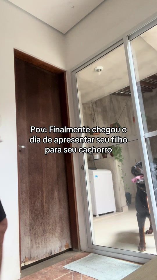 TikTok video thumbnail by fabio_lambert
