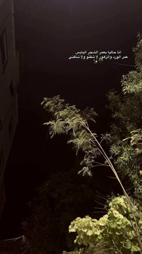 TikTok video thumbnail by blak_z7