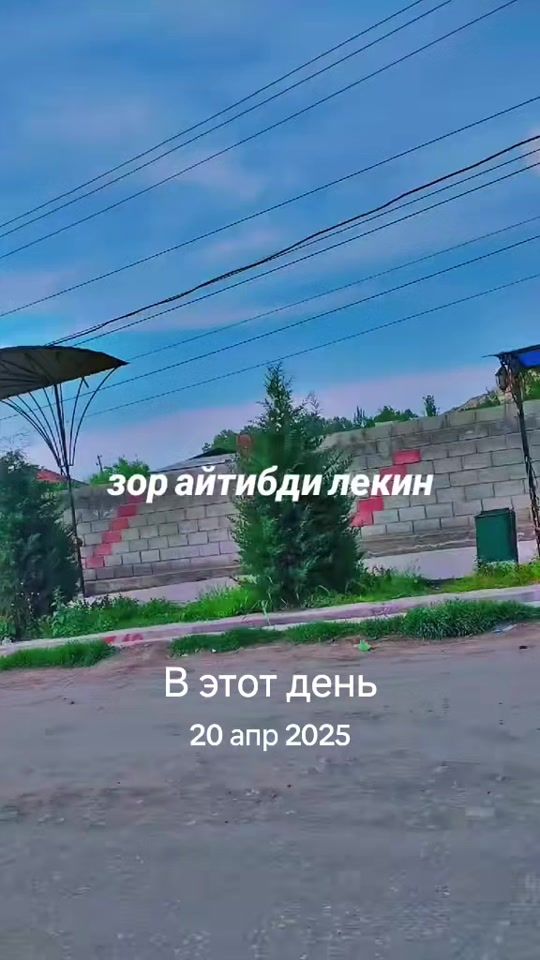TikTok video thumbnail by zarinezmanu