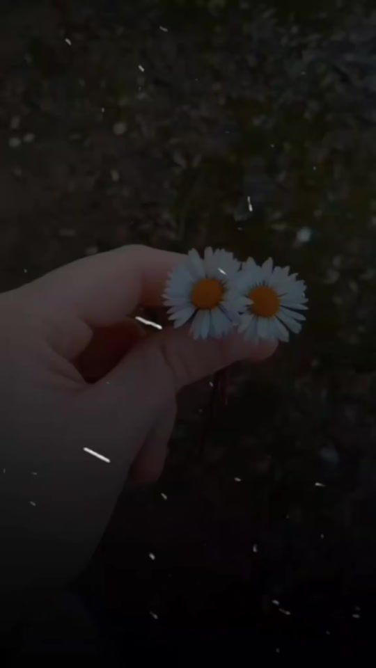 TikTok video thumbnail by herdemstran