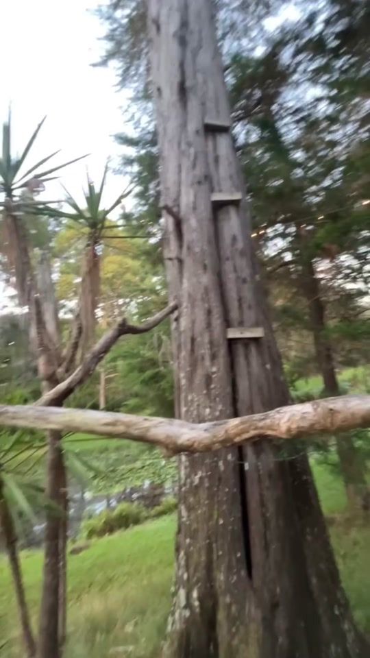 TikTok video thumbnail by darcel_kite